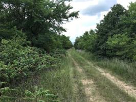 Kelsoe 2 Road