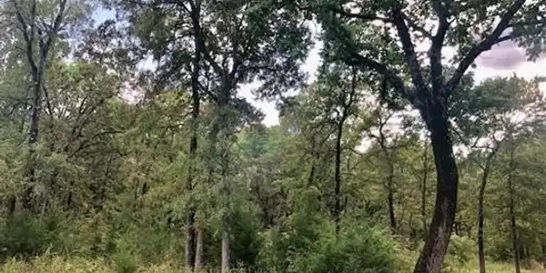 39 Lakeside Ridge Ridge