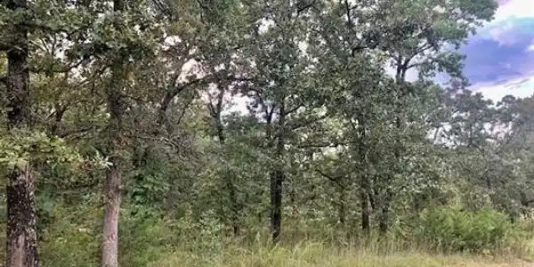 40 Lakeside Ridge Ridge