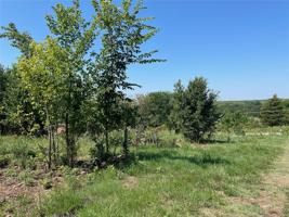 57320 S 36980 Road