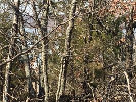 Hidden Ridge Road
