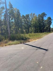 Beach Bluff Ln (Lot 25)