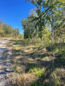 Lakepoint Dr (Lot 26)