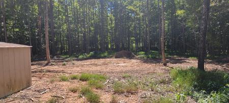 208 Raintree Dr