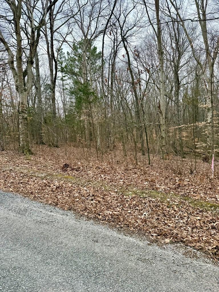 Image 4