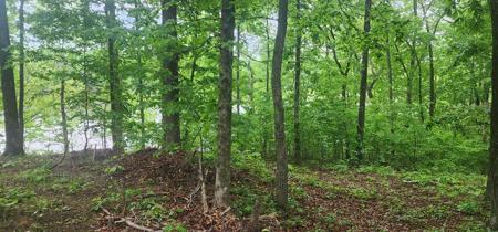 163 Davis N Lake Rd