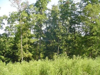 Lot 17 Ironwood