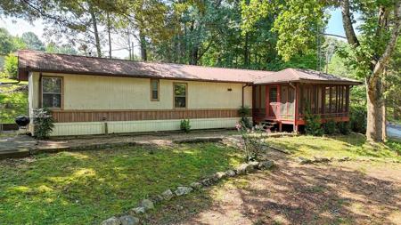 25 Jones Loop
