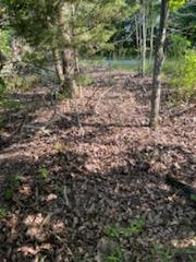 Mccauleys Bluff