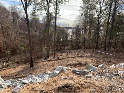 Branch Loop Rd