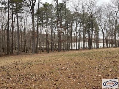 Catfish Drive