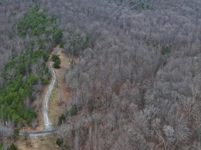 Trace Harbor Dr