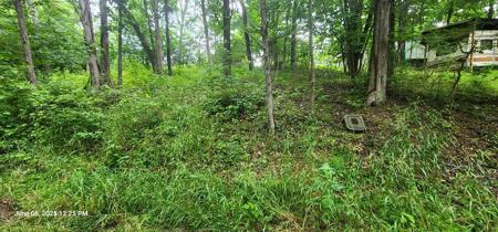 94 Highlander Ln