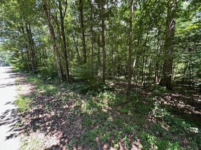 Lot 10 Beaverdam Cabin Rd