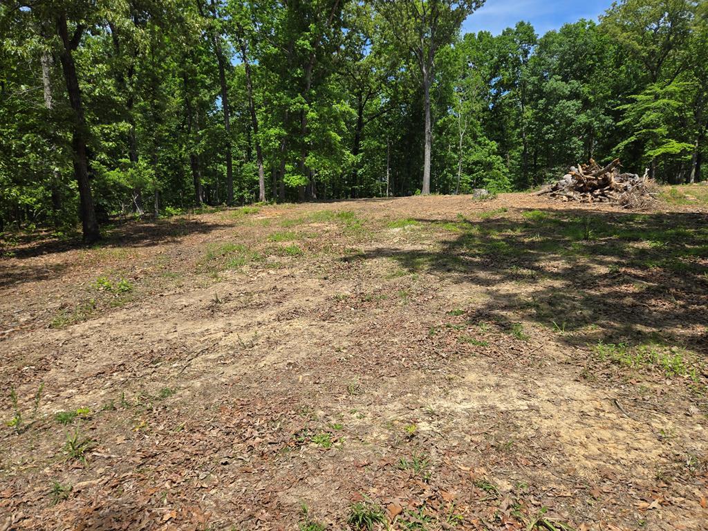 Image 1: Main View