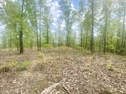 39 Overlook Trail