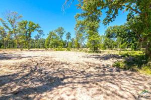TBD Wycliff Drive