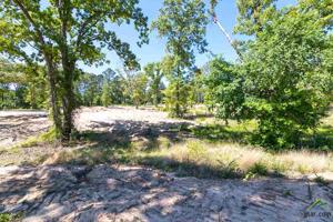 TBD Wycliff Drive