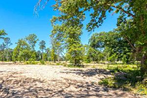 TBD Wyndham Trail