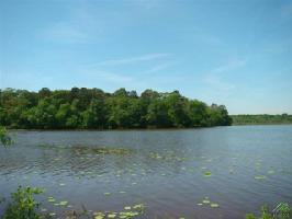 Lot 5 Camp Cypress Trail
