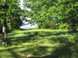 LOT 10 & 11 PVT RD 2928 TITUS CO