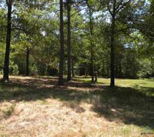 LOT 5 CR 3420