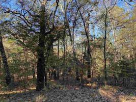 Lot #62 Whispering Willow