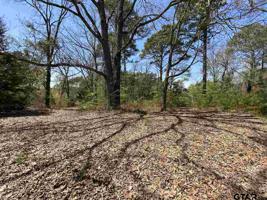 4 LOTS ROYAL DRIVE