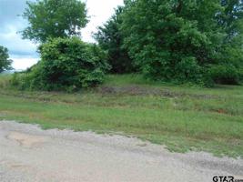 LOT 84 CONCHO