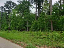 TBA N Lakeview Dr.