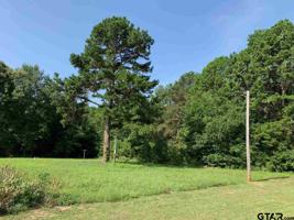 446 Perdanales Dr