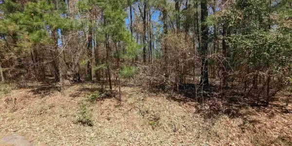 Eagle Bluff Lp