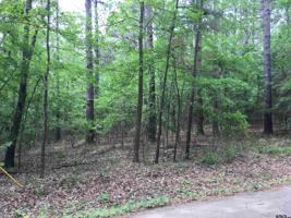 18914 Tree Top Lane