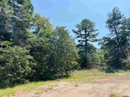Lot 450 Pine Valley / Charlya