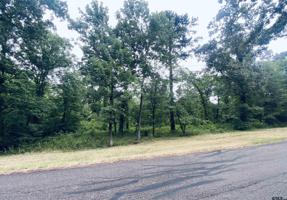 TBD Lot 39 & 40 Whispering Pine Trl