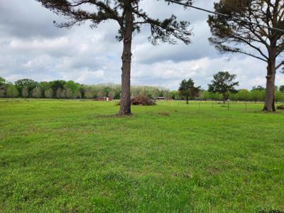 TBD Lot # 4 County Road 4202