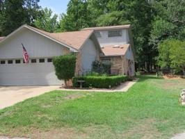 214B Pine Tree