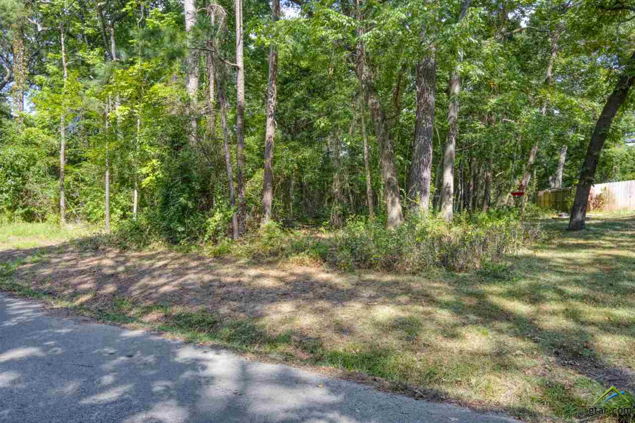 Block 1 Lot 25 Cumberland Ridge, Bullard, TX lhrmls00580479