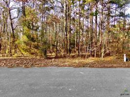 15212 Maple Leaf Ct