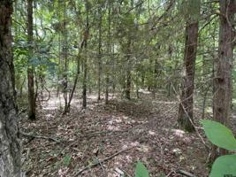 14692 Jade Forest Trl