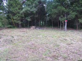 tbd Willow Lane