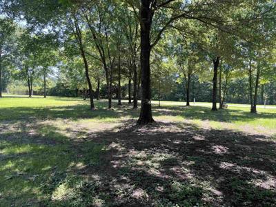 Lot 62 PR 5943