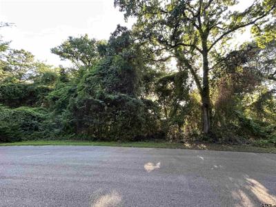 0 Lookout Lake Circle