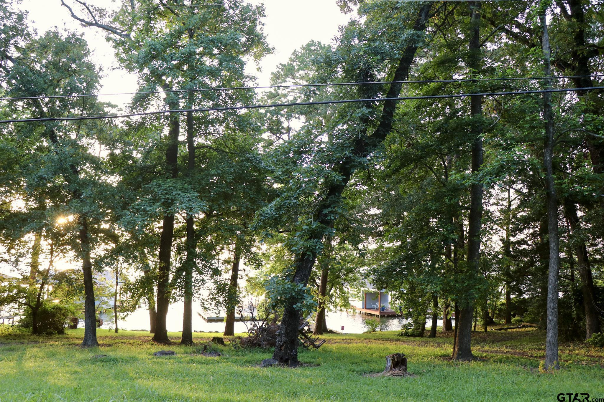 Image 3: Streetview Lot 10