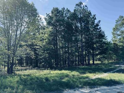 2609 N FM 346