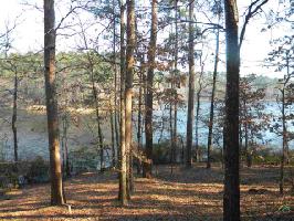398 Dogwood Trail