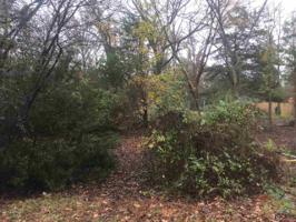 Lot 172 Tree Top Ln.