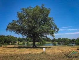 Lot 68 PR 52320