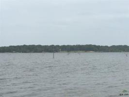 LOT 7 County Road 1297