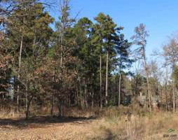 Lot 2 Lake Gladewater Estates